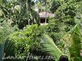 THAMBAPANNI RETREAT
