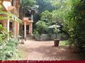 THAMBAPANNI RETREAT