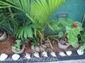 NIRMALA Guest House