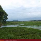 Land in front of lake (L7)