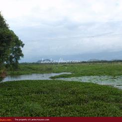 Land in front of lake (L7)