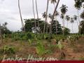 Land in front of lake (L7)