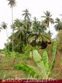 Land in front of lake (L7)