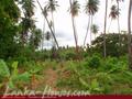 Land in front of lake (L7)