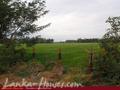 Land in front of lake (L7)