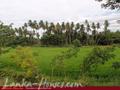 Land in front of lake (L7)