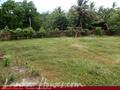 Land in front of lake (L7)