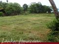 Land in front of lake (L7)