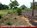 Land in front of lake (L7)