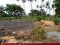 Land in front of lake (L7)