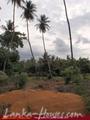Land in front of lake (L7)