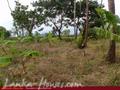 Land in front of lake (L7)