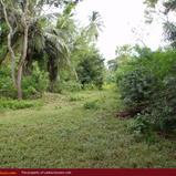 Land in front of lake (L9)