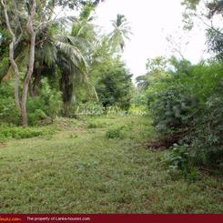 Land in front of lake (L9)