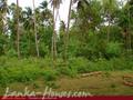 Land in front of lake (L9)