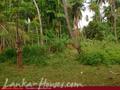 Land in front of lake (L9)