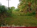 Land in front of lake (L9)