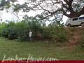Land in front of lake (L9)