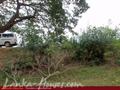 Land in front of lake (L9)