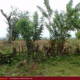Land in front of the lake (L8)