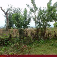 Land in front of the lake (L8)