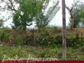 Land in front of the lake (L8)