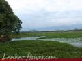 Land in front of the lake (L8)