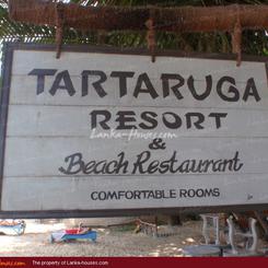 TARTARUGA Hotel