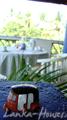 BLACK BEAUTY Guesthouse