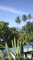 BLACK BEAUTY Guesthouse