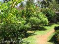 SEA VIEW Upul Guest House