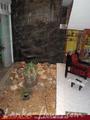 CHANDRASIRI Guest House