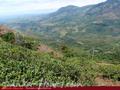 VIEW POINT Villa