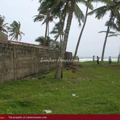 Land on the beach