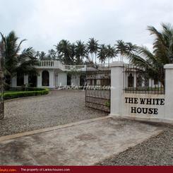 THE WHITE HOUSE