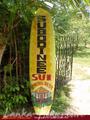 SUBODINEE SUI Generis Rest