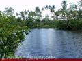 SUBODINEE SUI Generis Rest