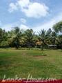 SUBODINEE SUI Generis Rest