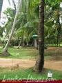 CLUB MIRISSA