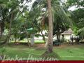 CLUB MIRISSA