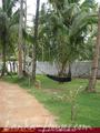 CLUB MIRISSA