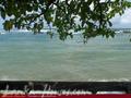 SUMMER BREEZE Tourist Guest House