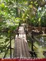 FLORA AND FAUNA MIRISSA