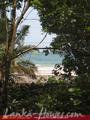 FLORA AND FAUNA MIRISSA