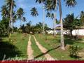 KING'S PALM VILLA