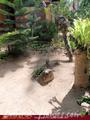 SKY GARDEN Guest House