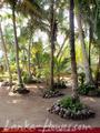SKY GARDEN Guest House