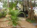 DREAM VILLAGE Beach Cabanas and Hotel