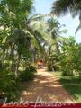 DREAM VILLAGE Beach Cabanas and Hotel