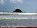 SAMARU Beach House